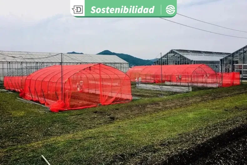 26861 diseno sin titulo 2025 12 03t174607.webp