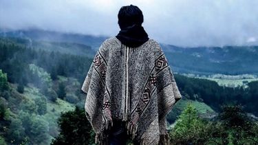 El Desconcierto | Mapuche.jpg