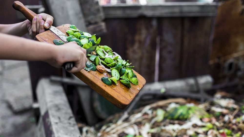 Mitad de los chilenos tiran comida a la basura al menos una vez por semana, revela estudio