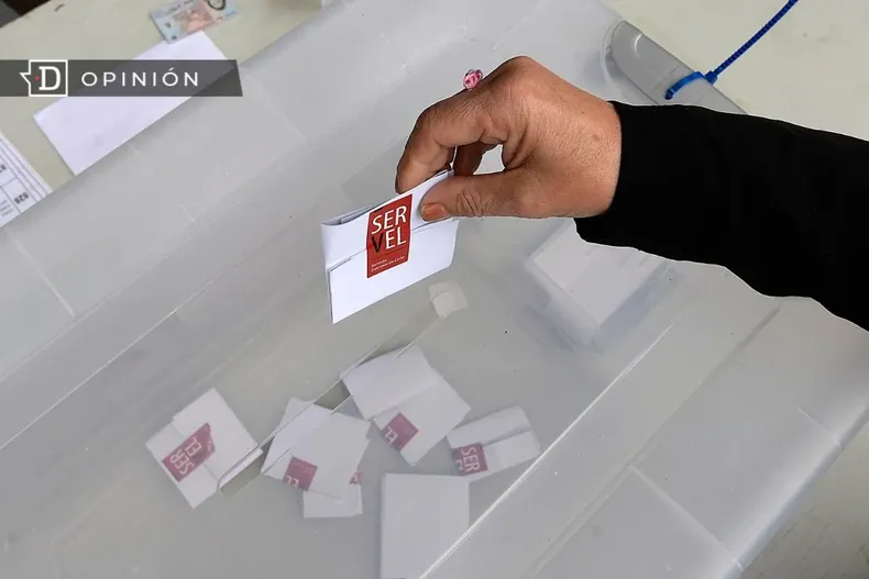 17565 persona votando.webp