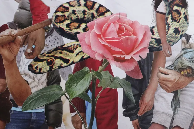 18564 diseno sin titulo 2025 07 03t222005.webp