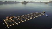 30% de las sanciones a salmoneras en chile ocurren en areas protegidas por sobreproduccion y contaminacion 30% de las sanciones a salmoneras en chile ocurren en areas protegidas por sobreproduccion y contaminacion
