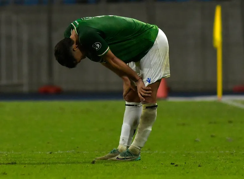 9743 audax jeraldino.webp