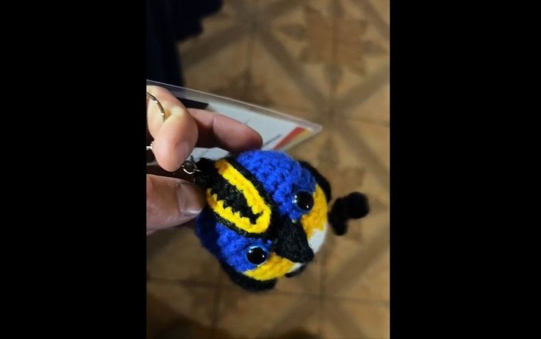 Fiu tejido.jpg