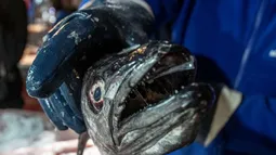 Alianza nacional pro pesca artesanal: “Industriales deben transparentar cuánto ganaron con la Ley Longueira”