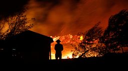 El sueño de Valdés (¿son los incendios intencionales?)