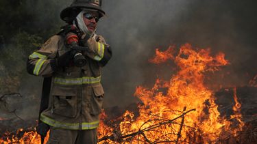 Universitarios crean a Bomberos sistema para enrollar mangueras de forma rápida y segura