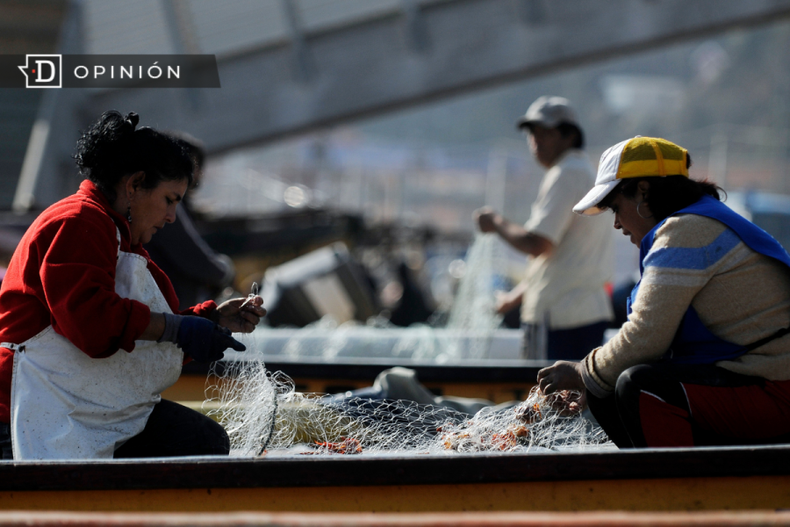 Pesca artesanal e1708613241273.png