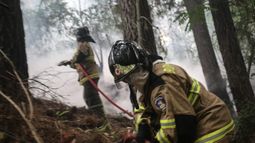 Campaña de 1.200 compañías de bomberos que buscan reunir $1.000 millones a través del SOAP