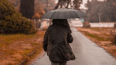 Habrá incluso precipitaciones: ¿Cómo estará el tiempo en el país este día de plebiscito?