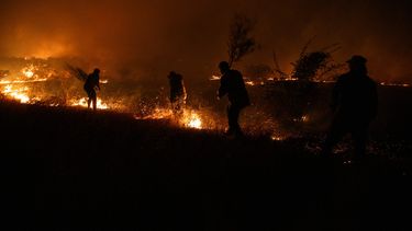 Alerta Meteorológica en El Maule y Ñuble: Temperaturas volverán a superar los 40°