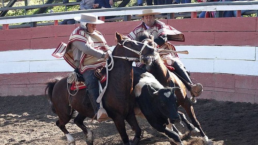 Gobiernos Regionales y rodeo: financiando lo injustificable