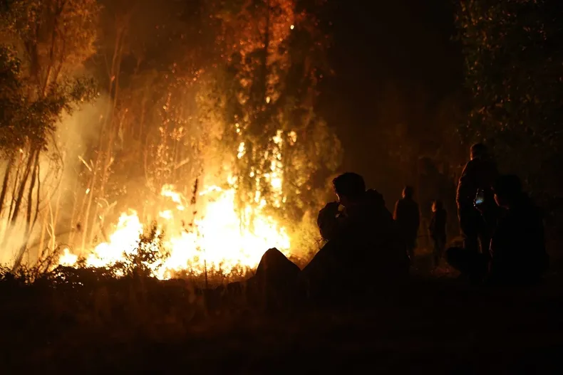 29075 a uno 1713892.webp