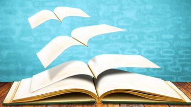 El Desconcierto | educacion lectora.jpg