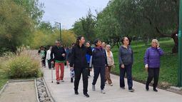 Vivir fuera de la región Metropolitana no conduce inevitablemente al deterioro cognitivo, sino que refleja desigualdades estructurales entre territorios.