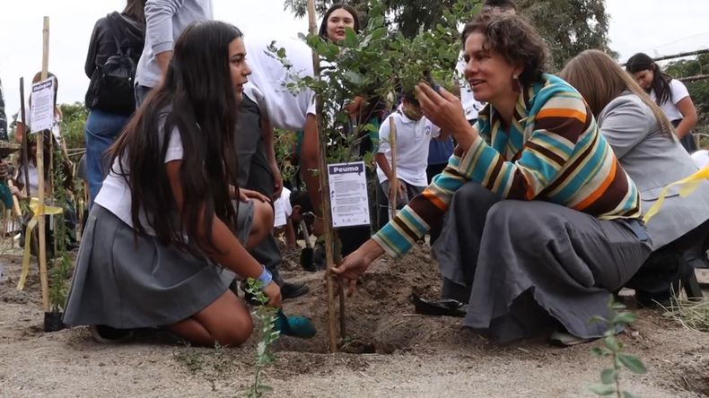 bosque en tu escuela.jpg