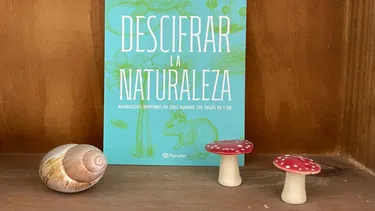 Descifrar la naturaleza: El libro que rescata la memoria de 7 científicos chilenos olvidados que cambiaron la conservación
