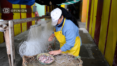 El Desconcierto | Ley Karin e1716926549347.png