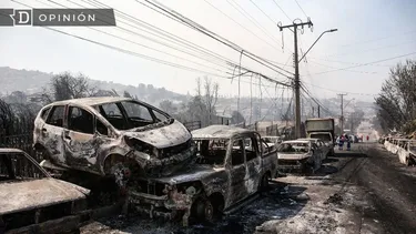 El Desconcierto | 10957 imagen del incendio en vina del mar del 2024.webp