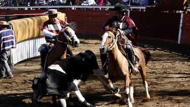 El Desconcierto | Rodeo scaled.jpg