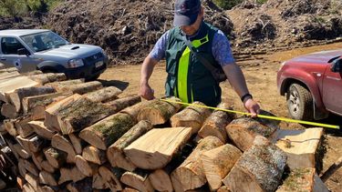 El Desconcierto | SMA fiscaliza con CONAF denuncia sobre tala de bosque nativo en proyecto inmobiliario paralizado  e1666272890600.jpeg