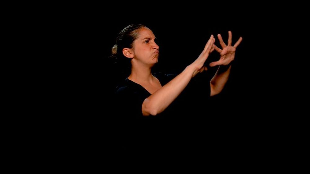 “Mis primeras señas”: El proyecto que busca apoyar a la infancia sorda