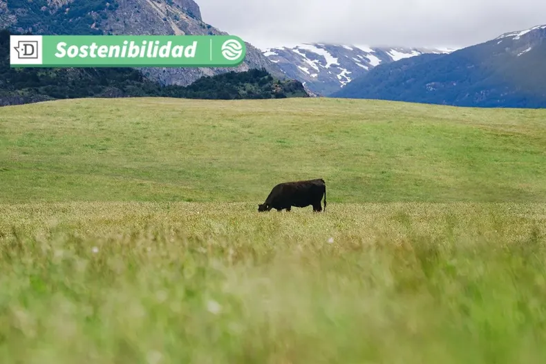 15805 diseno sin titulo 2025 05 15t155310.webp