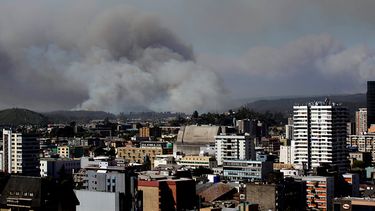 Gendarmería afirma que incendios rodean Concepción y pide aplazar procedimientos