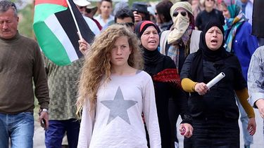 El Desconcierto | tamimi.jpg