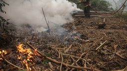Incendios forestales: Gobierno se querella contra 7 detenidos acusados de provocar el fuego