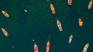 UDI busca reducir a 15% cuota artesanal de jurel: Mapa del conflicto en indicaciones en Ley de Fraccionamiento