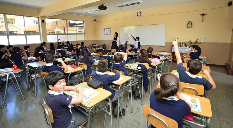 EducacionAmbiental 800 L 10.jpg