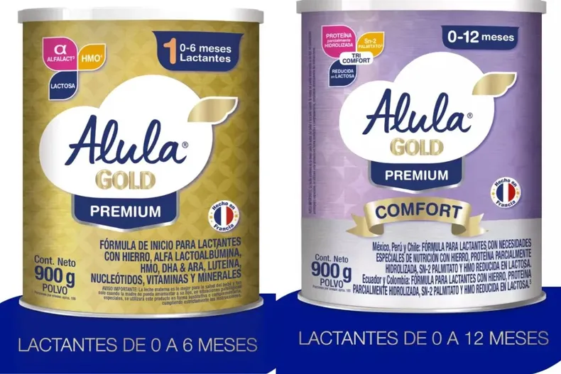 29091 diseno sin titulo 12.webp