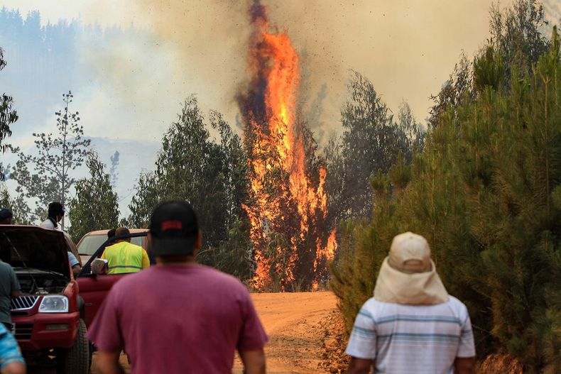 Incendios forestales.jpg