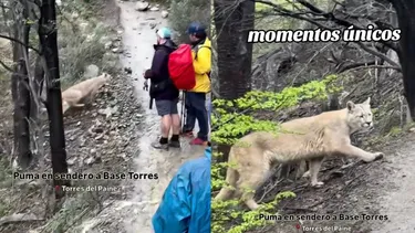 El Desconcierto | 24289 diseno sin titulo 76.webp