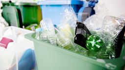 ¿Son seguros los plásticos reciclados para envasar alimentos?
