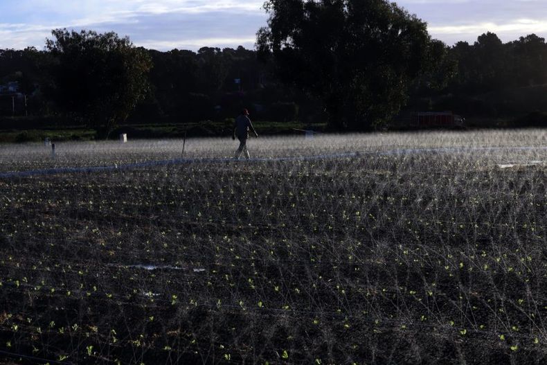 Riego agricola 2 scaled e1697043699349.jpg