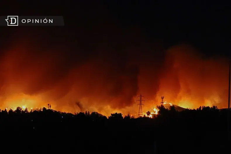 30425 imagen de un incendio forestal 2.webp