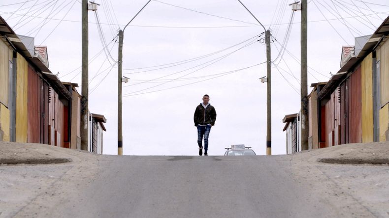 3. Libre 3 scaled.jpg