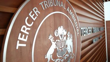 Rebajan en cerca de $1.400 millones la multa a Celulosa Arauco por derrame en Río Cruces