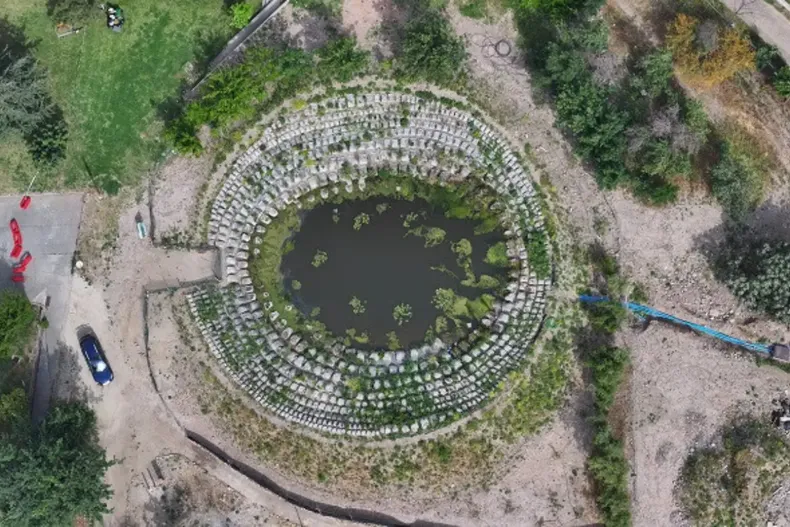 10375 diseno sin titulo 25.webp