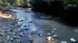 VIDEO| Grave situación de contaminación se puede apreciar en Río Malleco