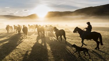 ¿Tienes la mejor foto de la Patagonia? Concursa para ganar viajes y publicación en revista