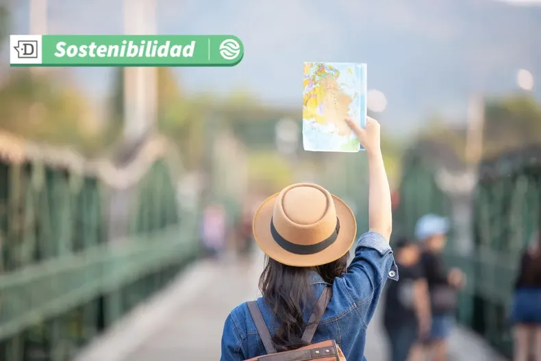 17293 diseno sin titulo 2025 06 11t154832.webp