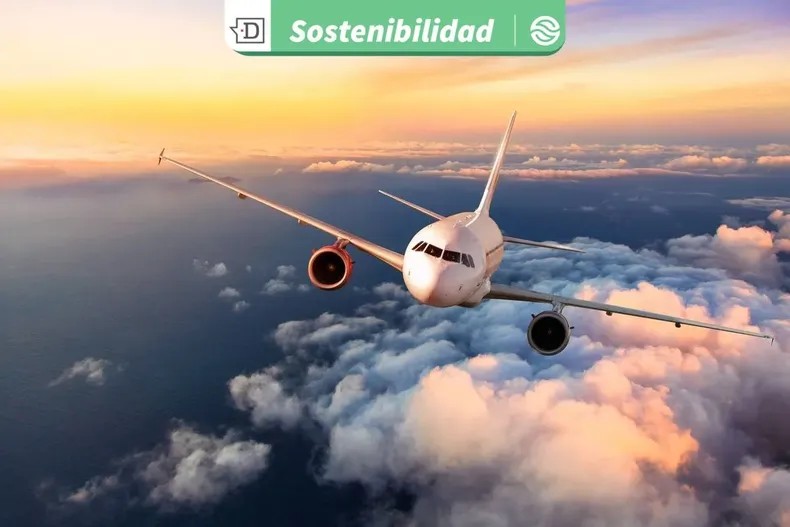 26039 diseno sin titulo 2025 11 19t130635.webp