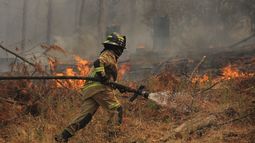 Senapred declara Alerta Roja para la comuna de La Estrella por incendio forestal