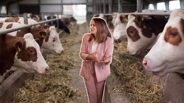 La directora de la Escuela de Medicina Veterinaria de la Universidad Mayor, Daniela Siel, abordó los desafíos de la seguridad alimentaria mundial, el rol central del bienestar animal en la producción sostenible y las responsabilidades que recaen sobre gobiernos y empresas.