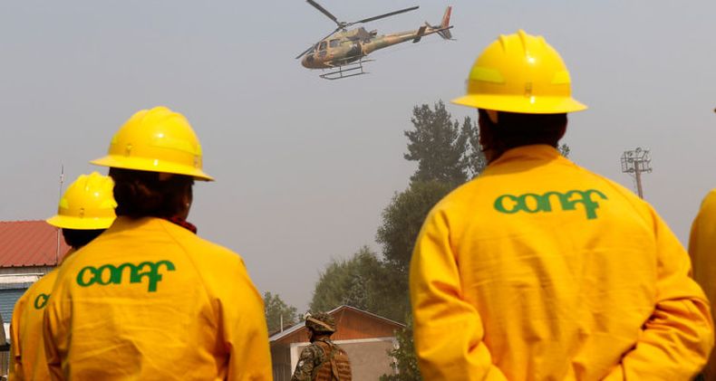 gobierno entregar antecedentes a contralora tras relevarse millonarios gastos en conaf 750x400 1.jpg
