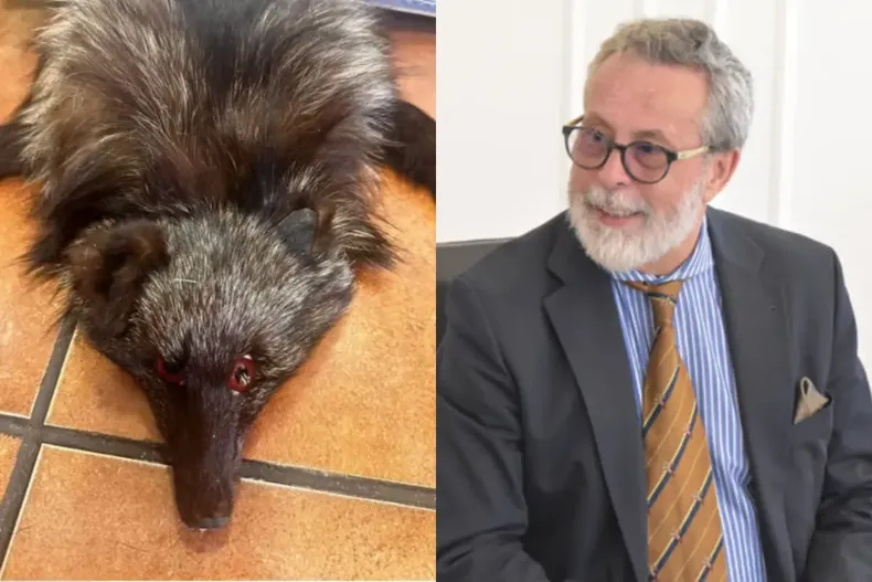 13105 diseno sin titulo 2025 03 20t182057.webp