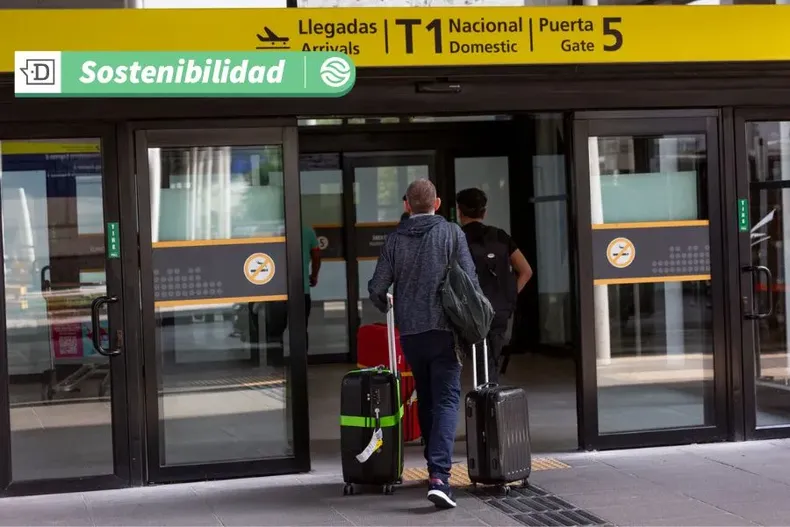 13133 diseno sin titulo 16.webp